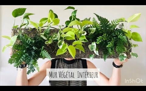 Vege-1